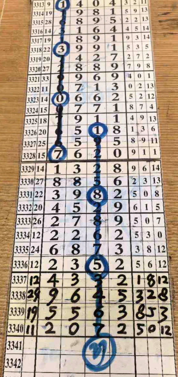 大可4489