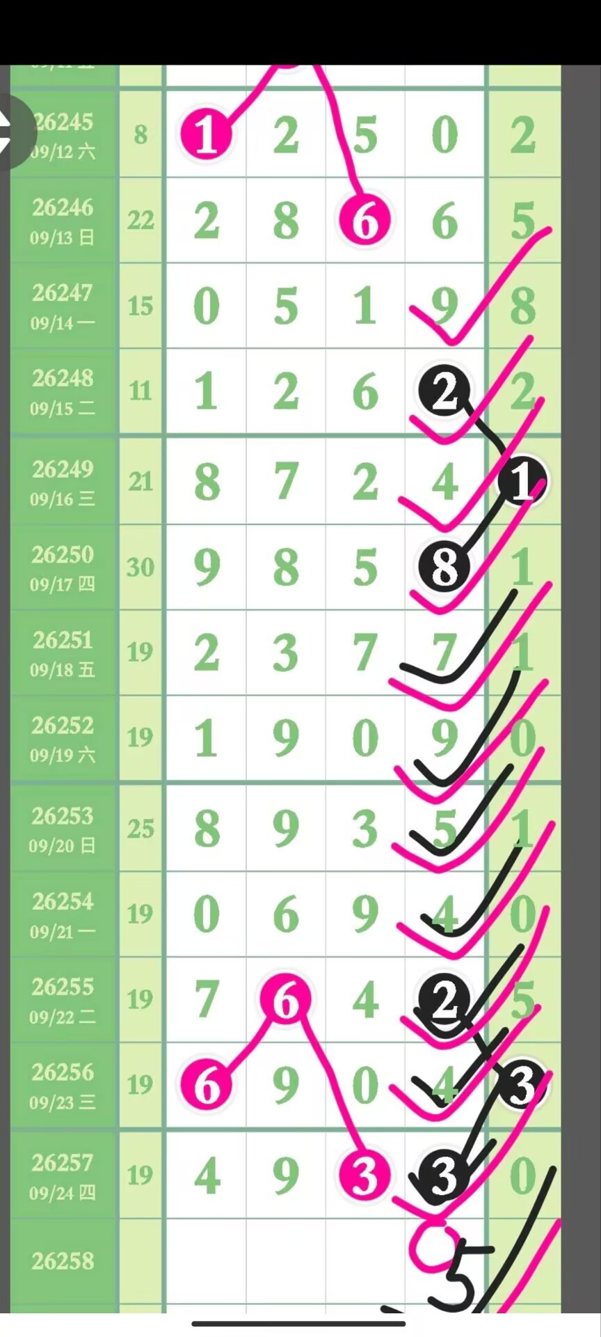 1790311639269188.jpg