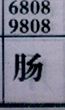 肠